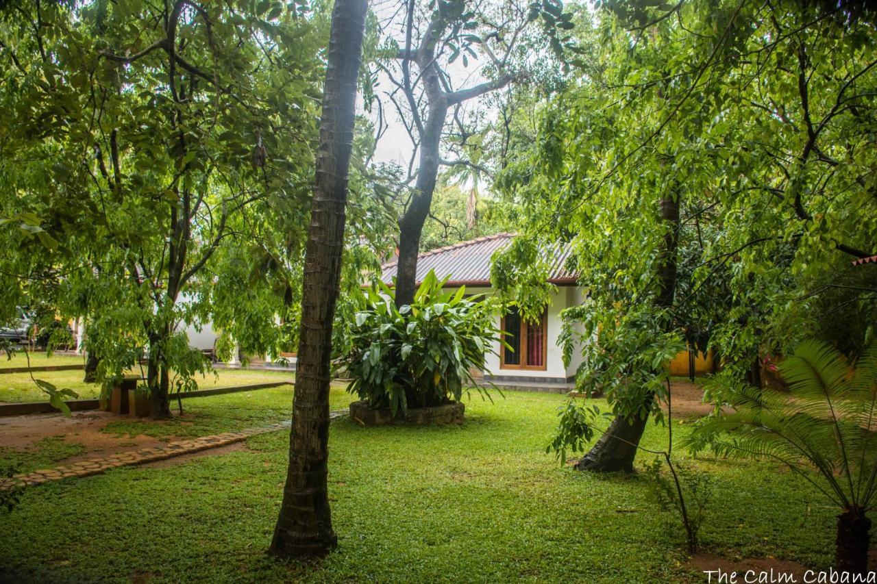 The Calm Cabana Dambulla Exterior foto