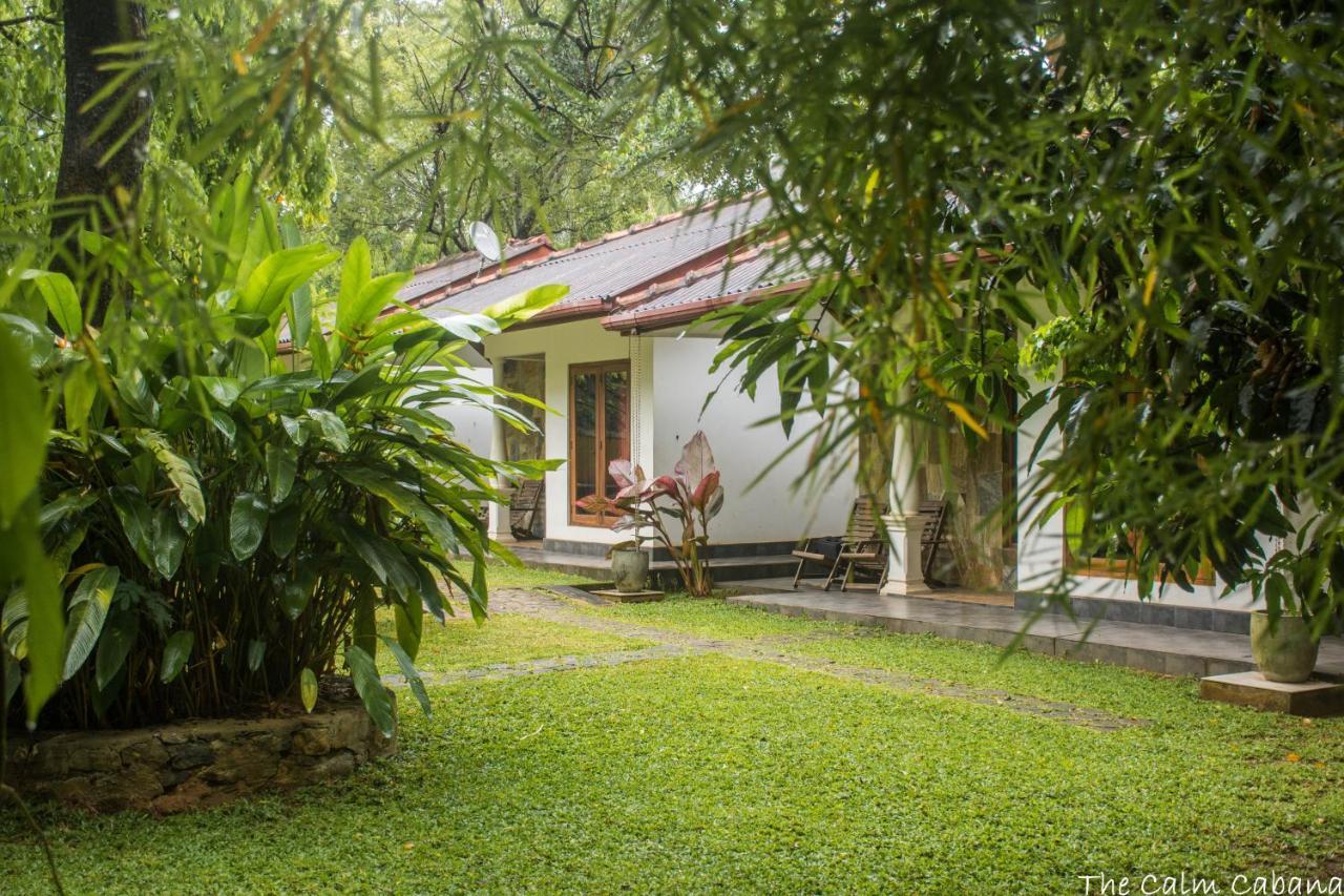 The Calm Cabana Dambulla Exterior foto