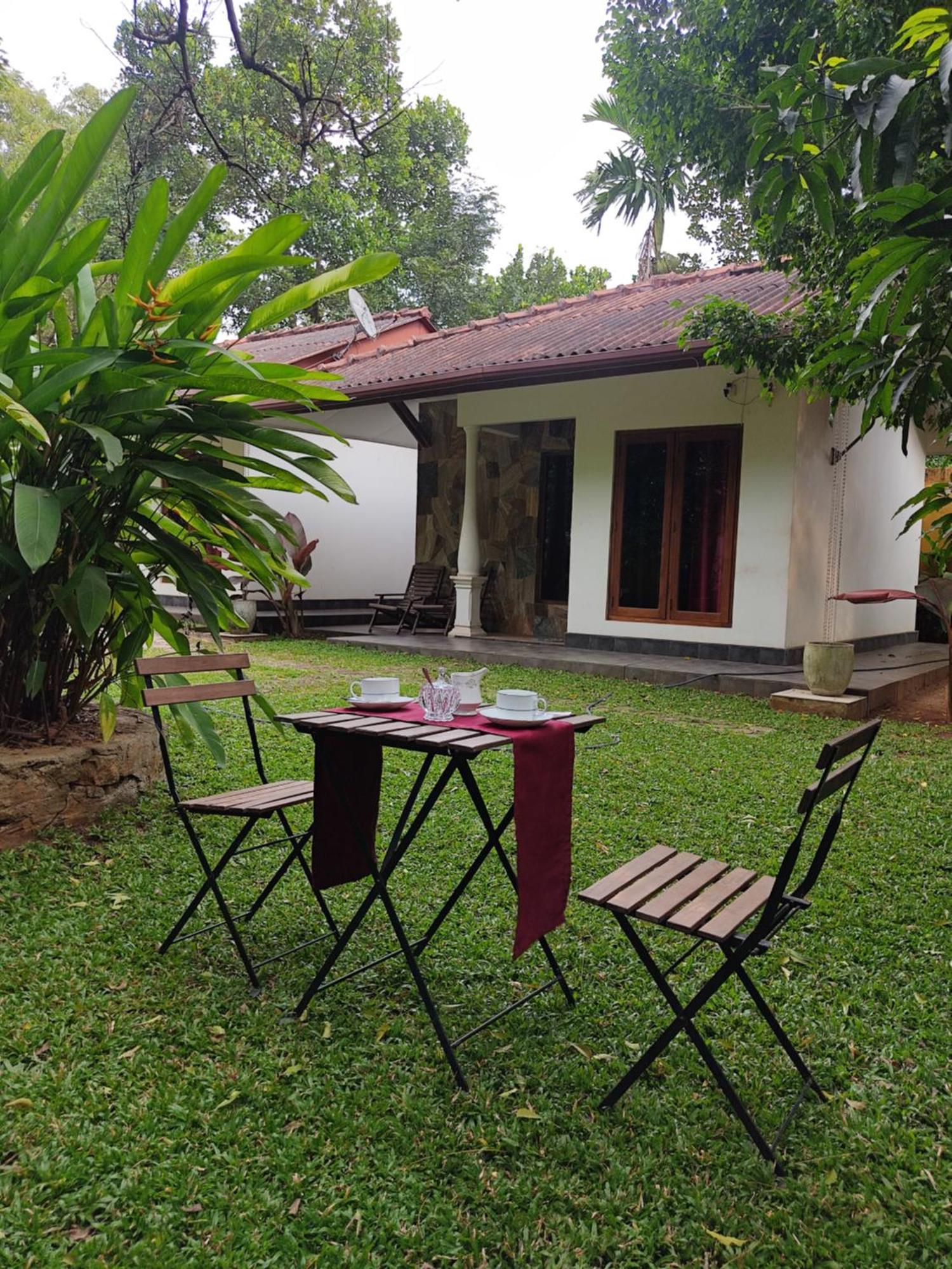 The Calm Cabana Dambulla Habitación foto